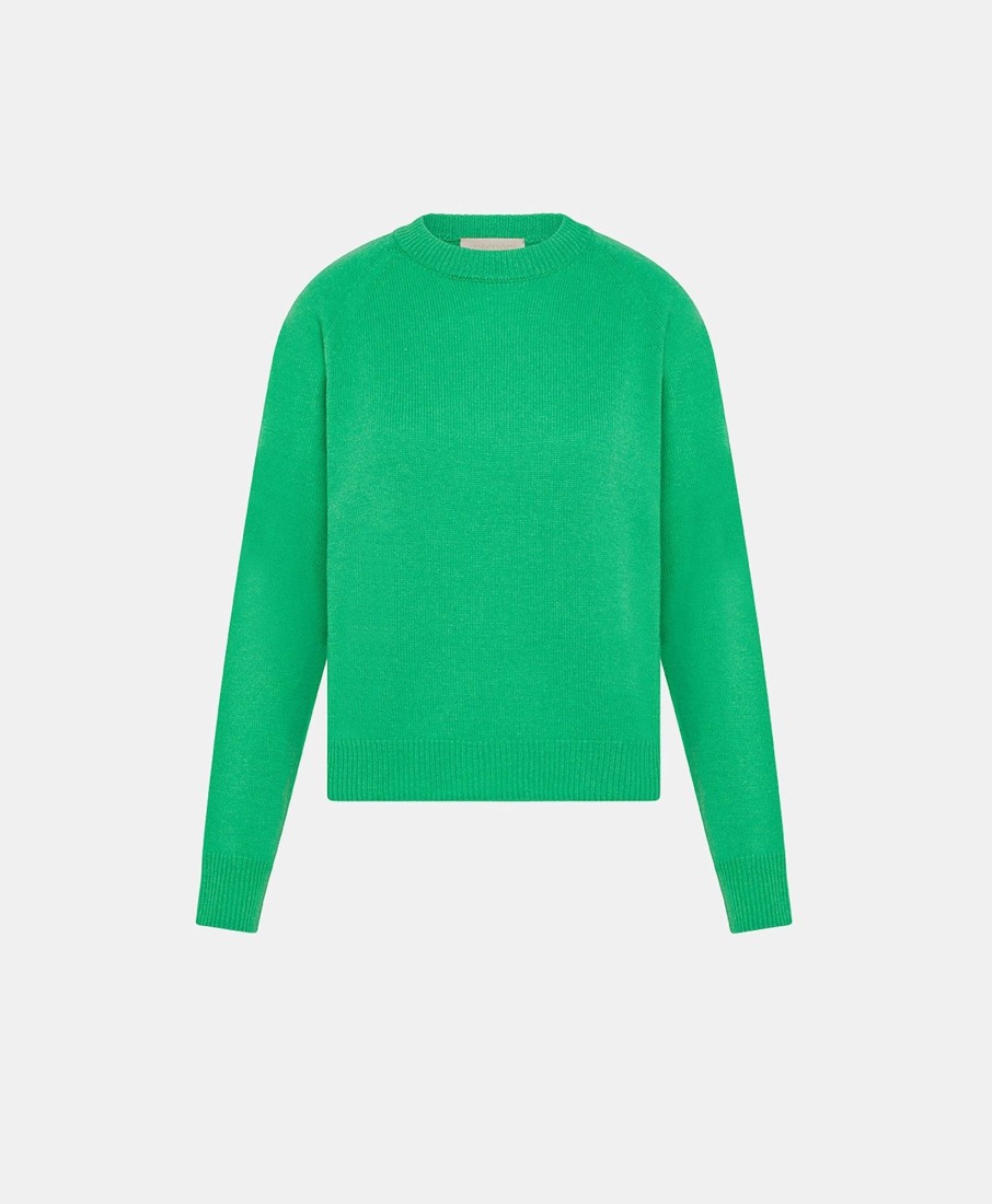 Abbigliamento Momoni  | Maglia Marmotta In Maglia Rasata Lana/In Cashmere - Ai 23 Verde Erba